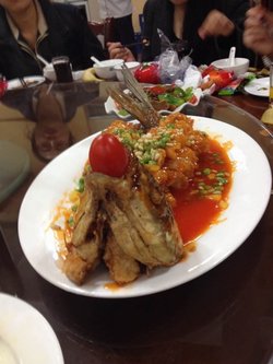 松鼠桂鱼