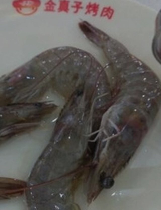 虾