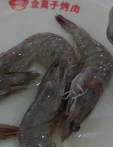 虾