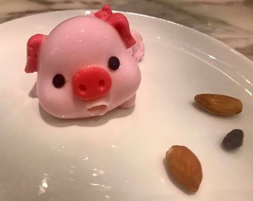 小財豬布丁