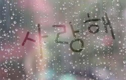小鱼de乌龟