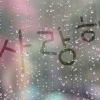 小鱼de乌龟