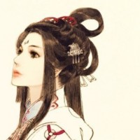 凤九小狐狸