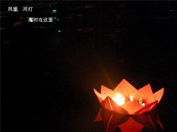 火龙果和玛奇朵