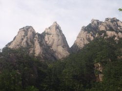 迟到王