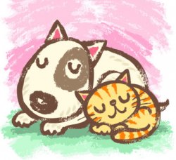 dreamxixi