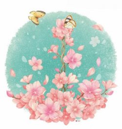 xiap熊熊