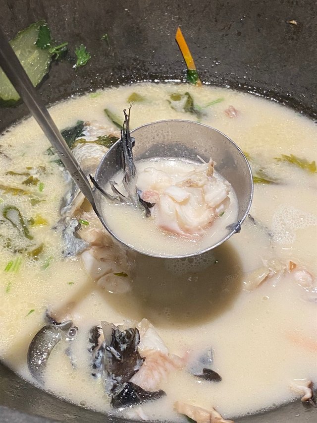 江團魚