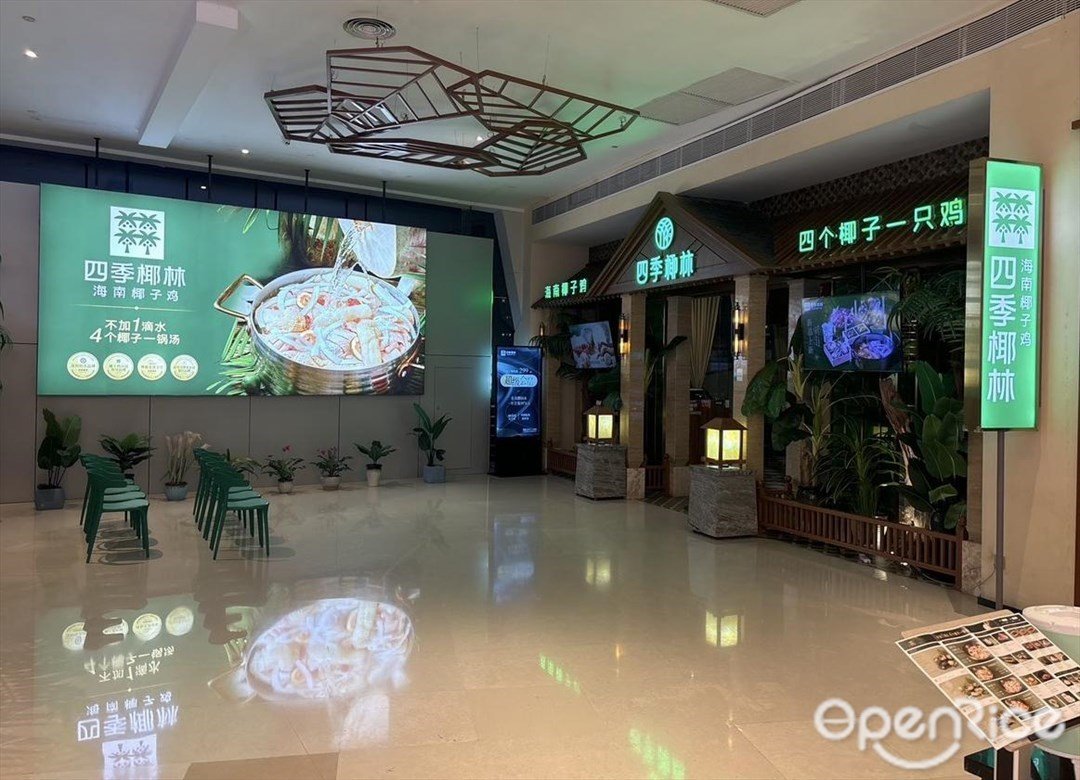 四季椰林海南椰子鸡 (海雅缤纷城)