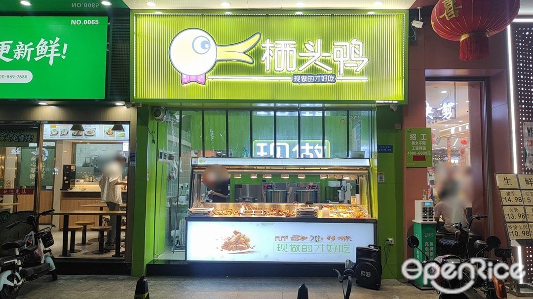 棲頭鴨 (中華大道)