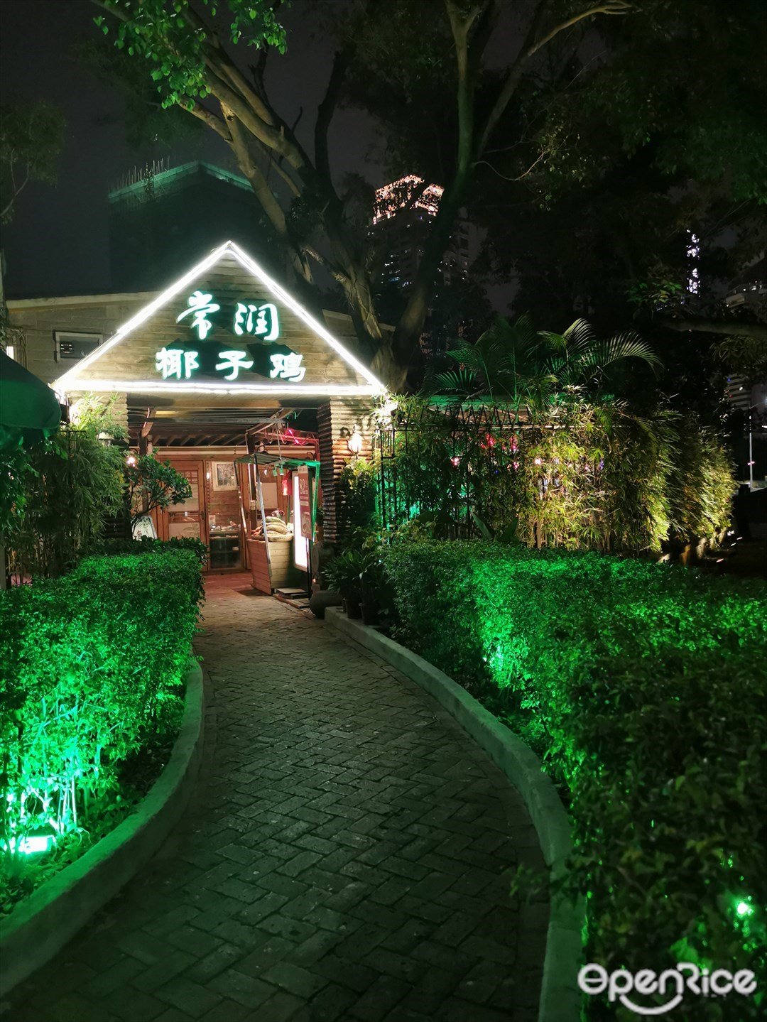 常潤椰子雞 (望海路)