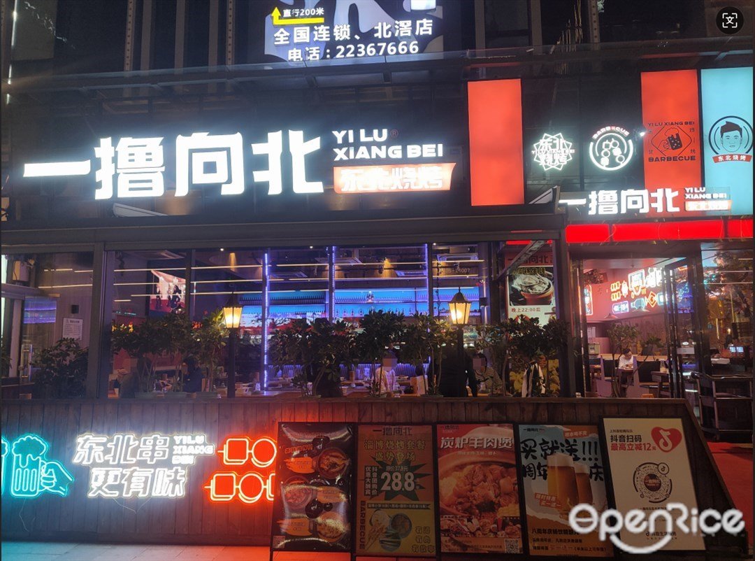 一擼向北東北燒烤 (悅然里)