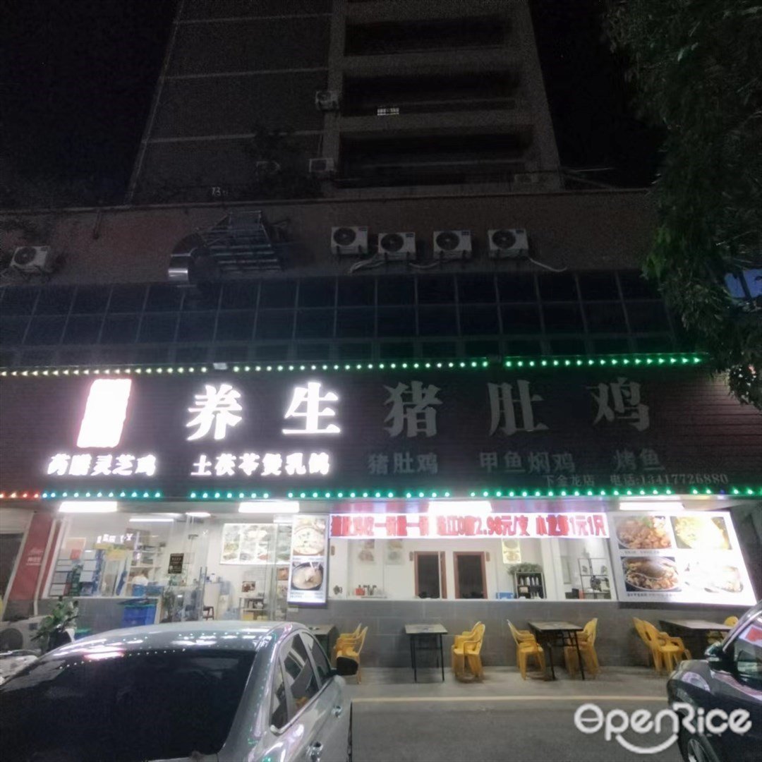 徐記養生豬肚雞 (金龍路)