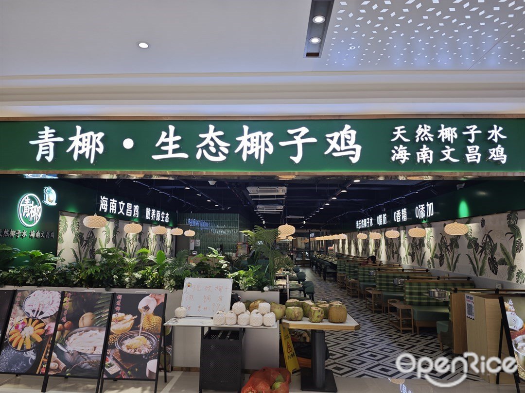 青椰·生态椰子鸡 (盛达广场)