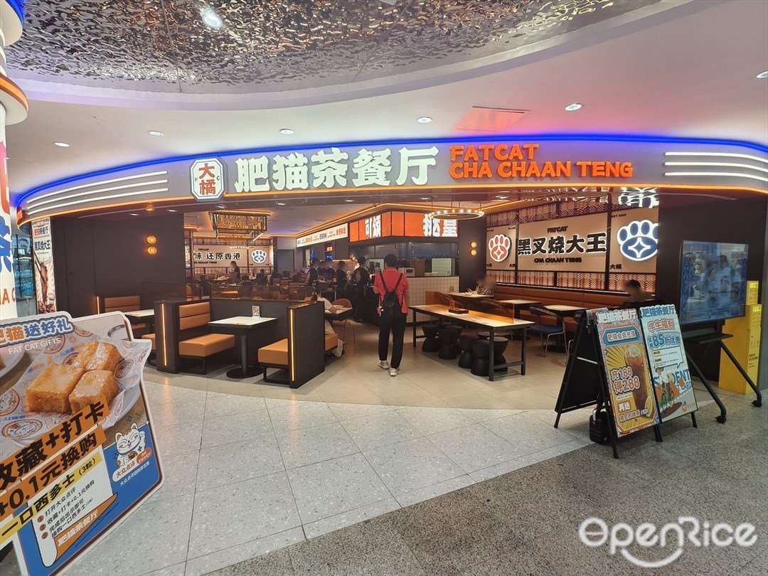 大橘肥猫茶餐厅 (未来城)