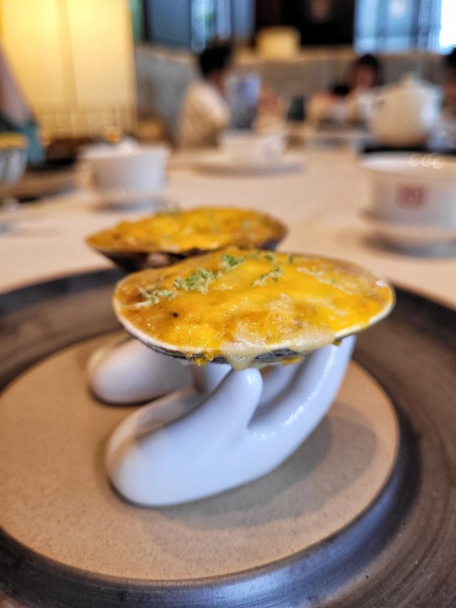 浦汁天鵝貝