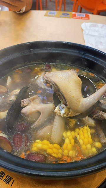 鸽子土鸡灵芝煲汤